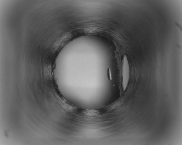 X0000099970670200806061631