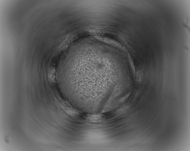 X0000099970671200806061631