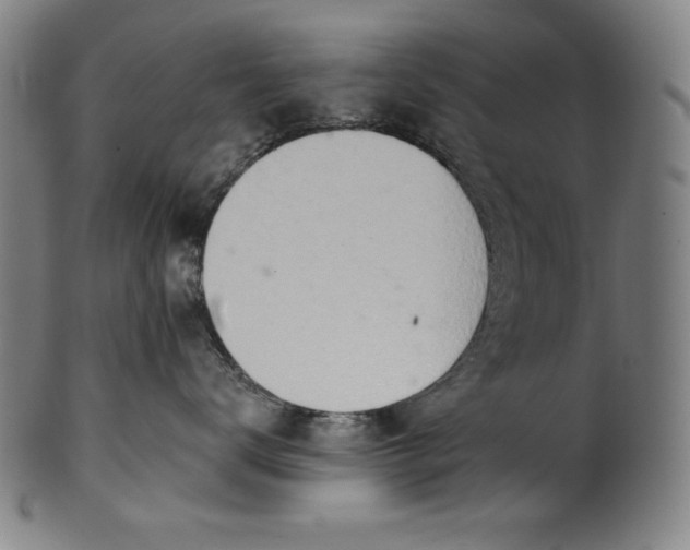 X0000099970672200806061631