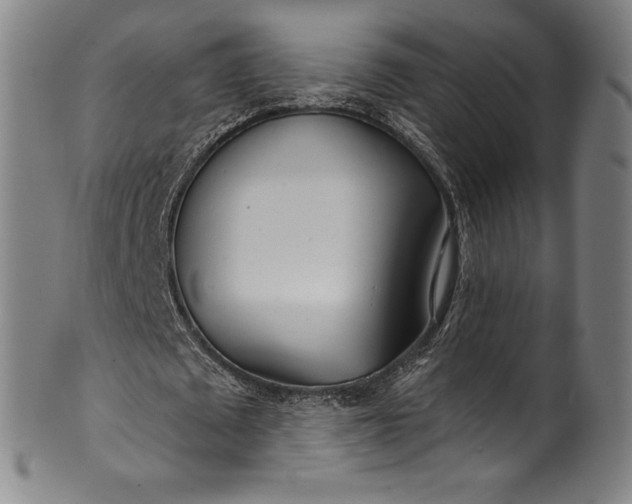 X0000099970673200806061630