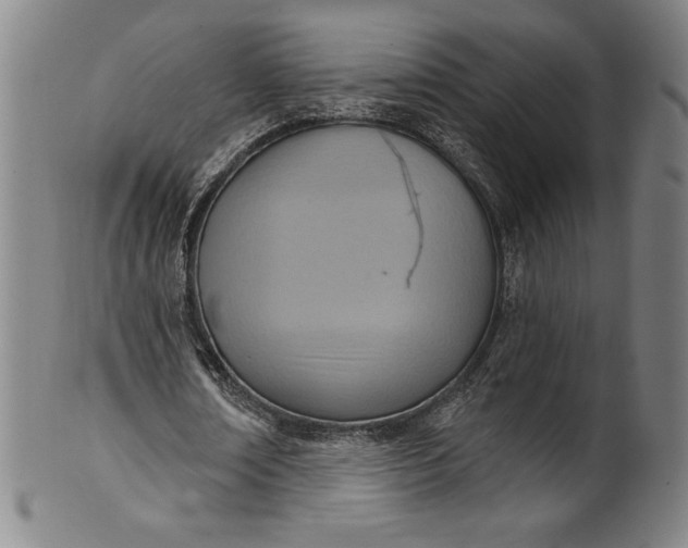 X0000099970674200806061630