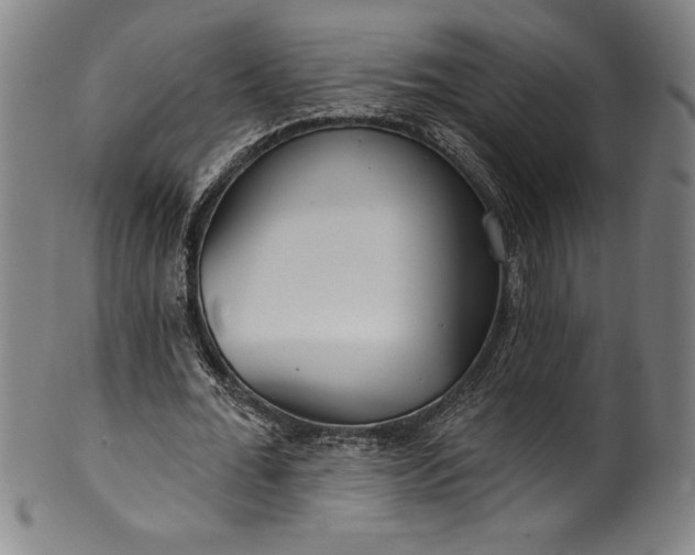 X0000099970676200806061630