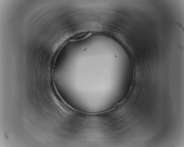 X0000099970677200806061630