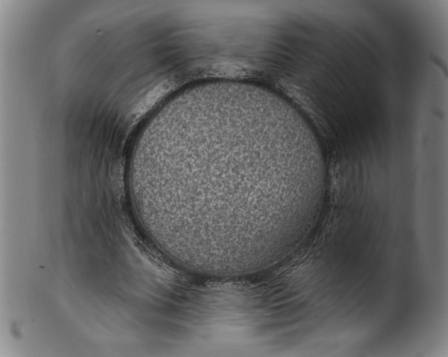 X0000099970679200806061630