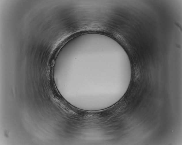 X0000099970680200806061630