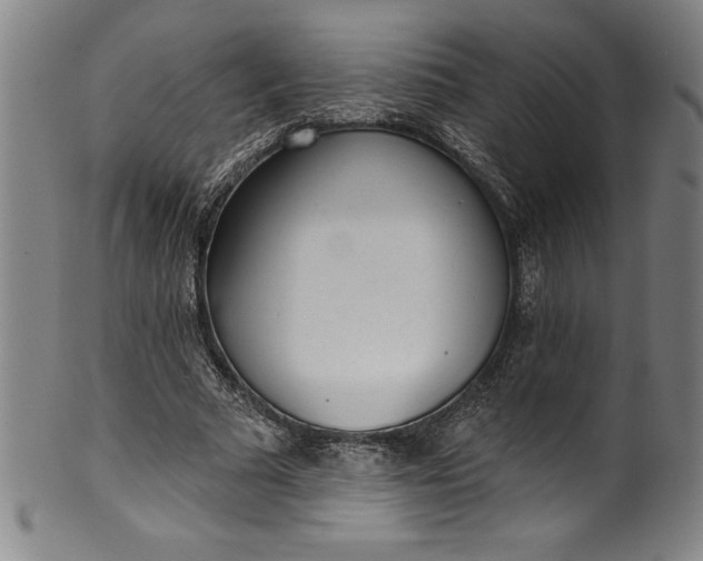 X0000099970681200806061630