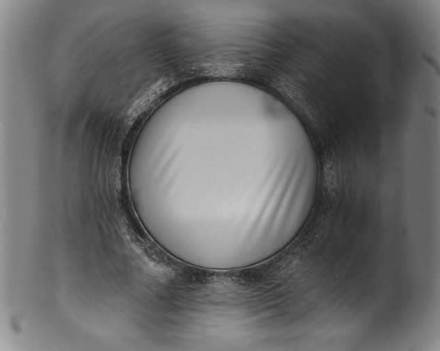 X0000099970682200806061630