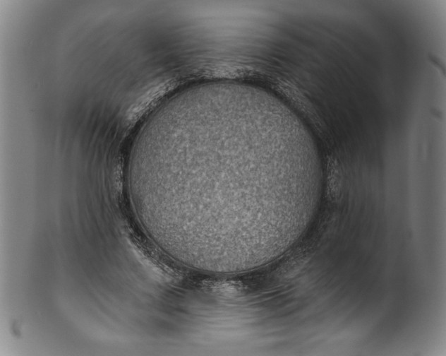 X0000099970683200806061630