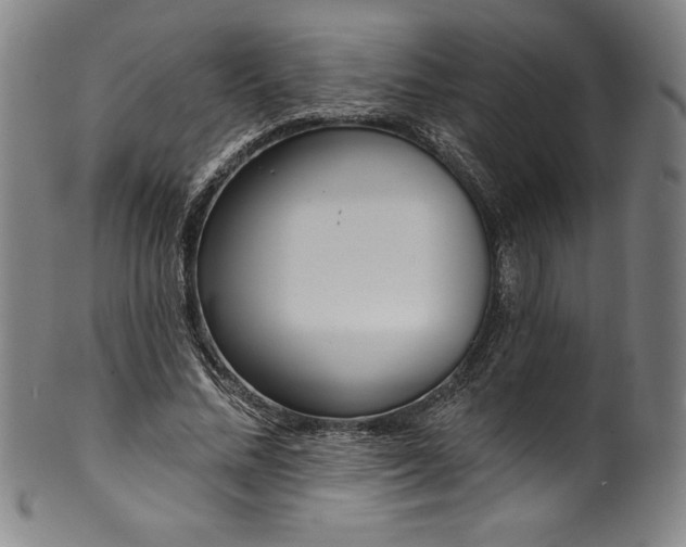 X0000099970684200806061630