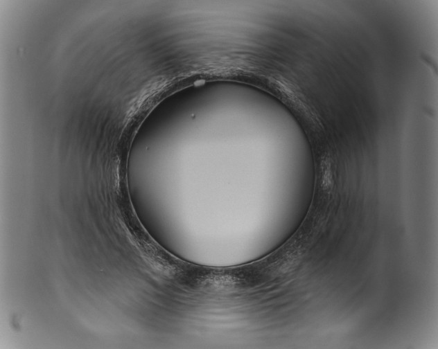 X0000099970685200806061630