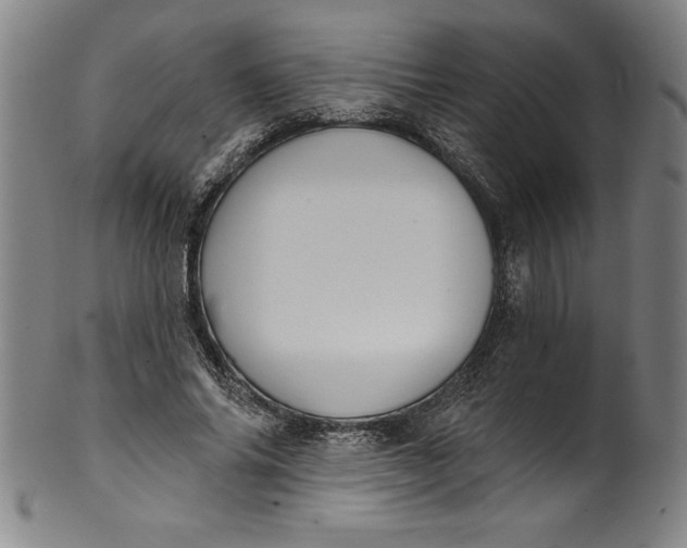 X0000099970686200806061630