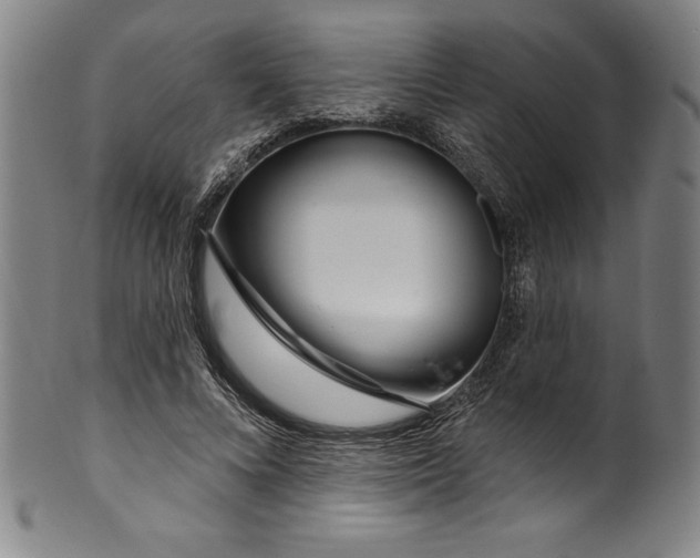 X0000099970688200806061630