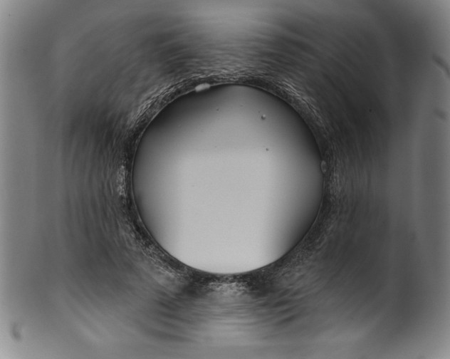 X0000099970689200806061630