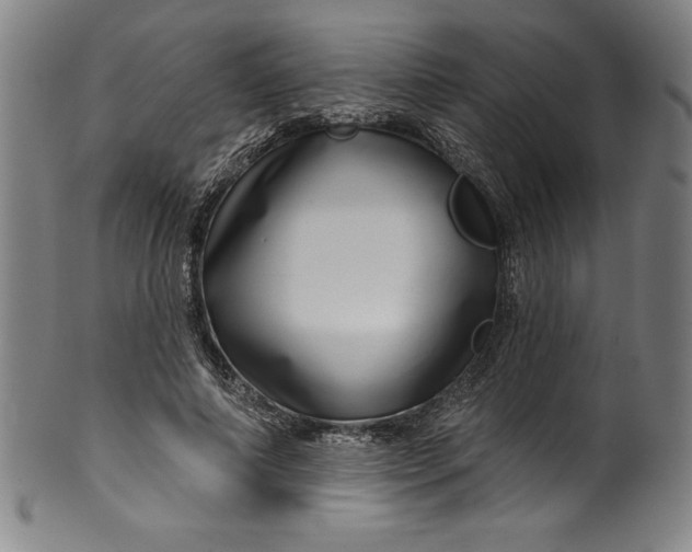 X0000099970690200806061630