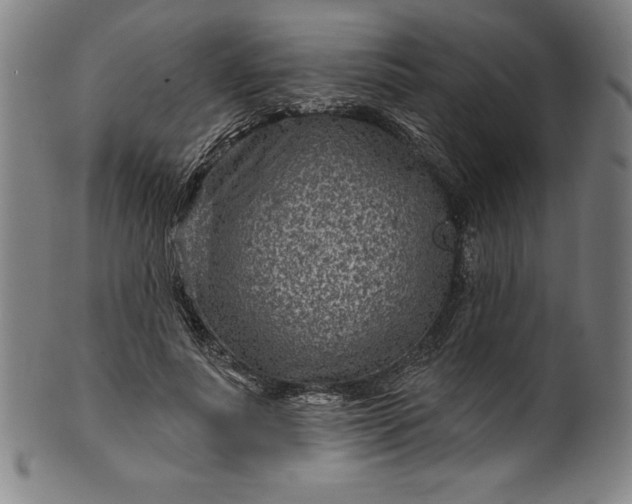 X0000099970691200806061630