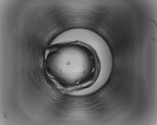 X0000099970693200806061630