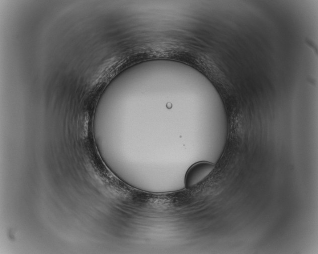 X0000099970694200806061630