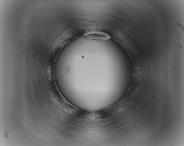 X0000099970696200806061630