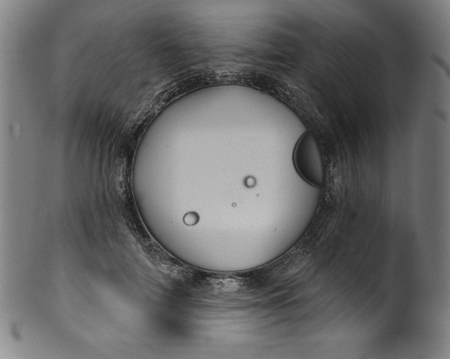 X0000099970698200806061630