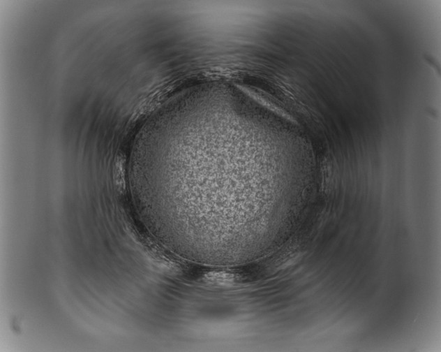 X0000099970699200806061630