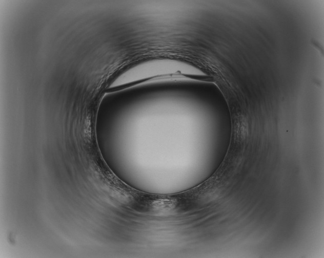 X0000099970700200806061630