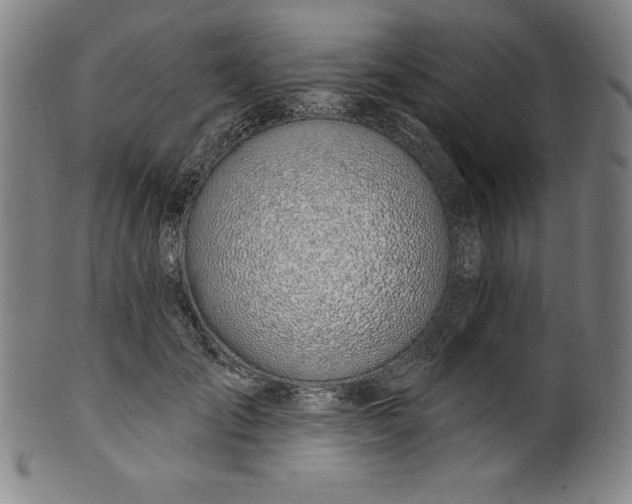 X0000099970701200806061630