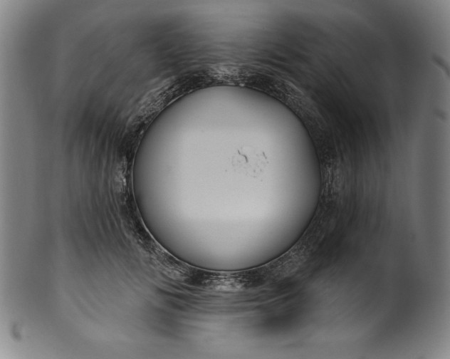 X0000099970702200806061630