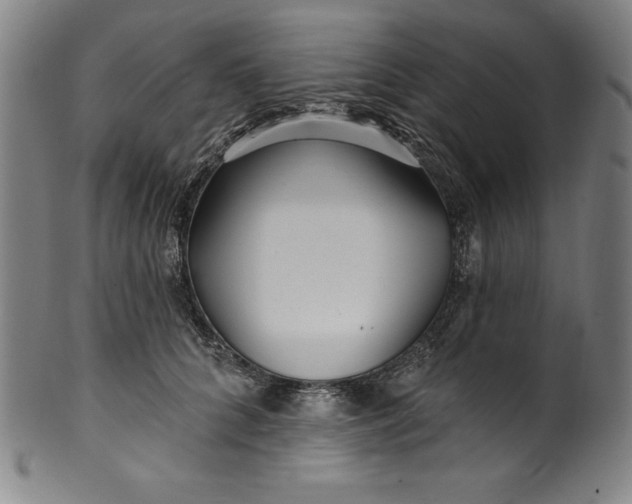 X0000099970704200806061630