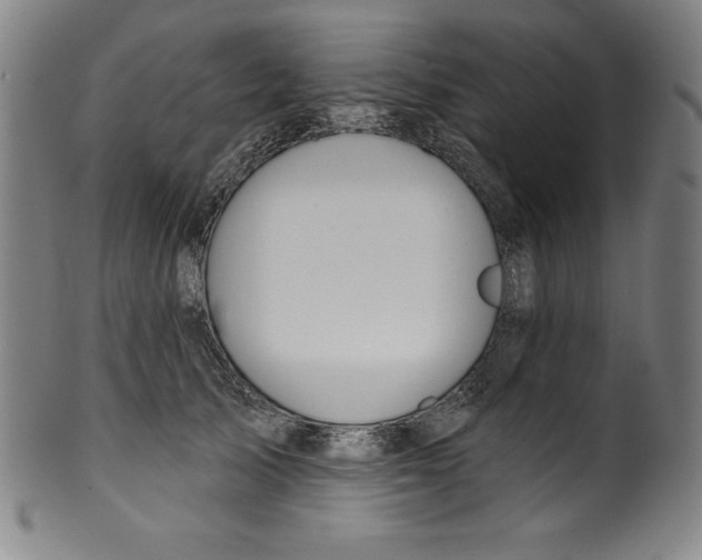 X0000099970705200806061630