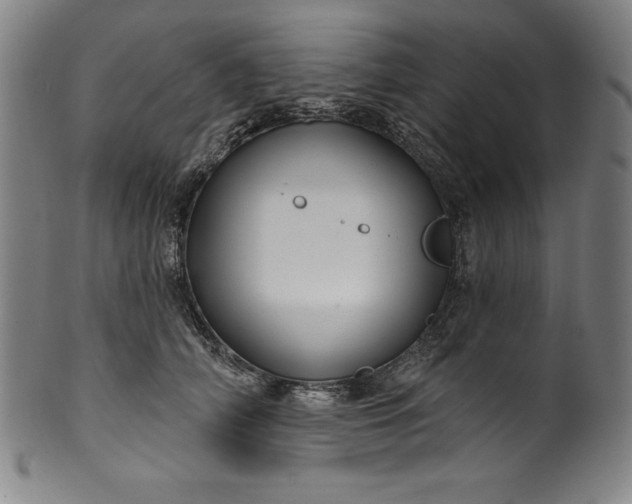 X0000099970706200806061630