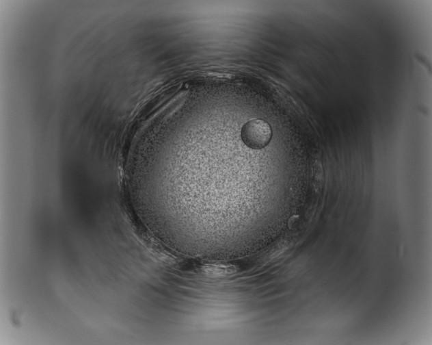 X0000099970707200806061630