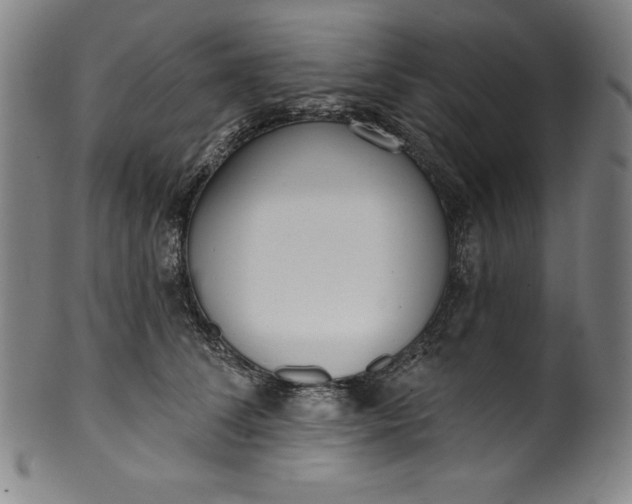 X0000099970708200806061630