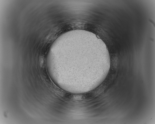 X0000099970709200806061630