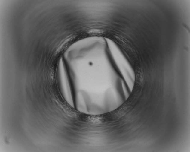 X0000099970710200806061630