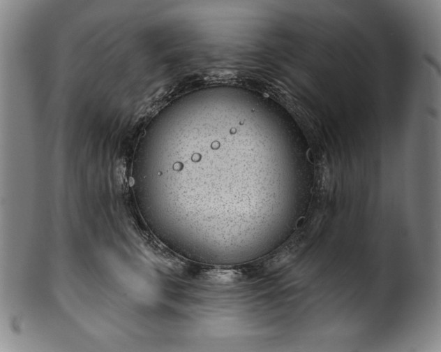 X0000099970711200806061630