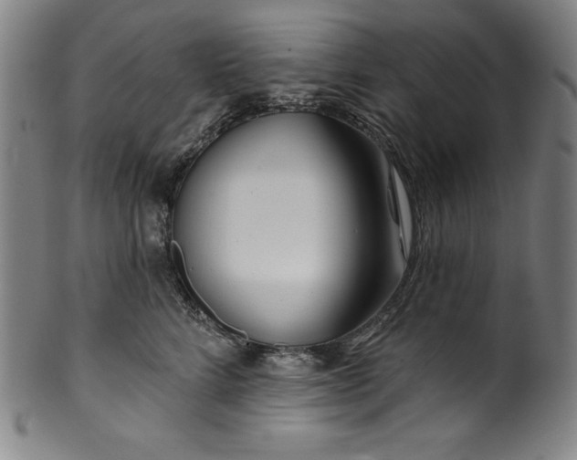 X0000099970712200806061630