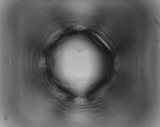 X0000099970714200806061630