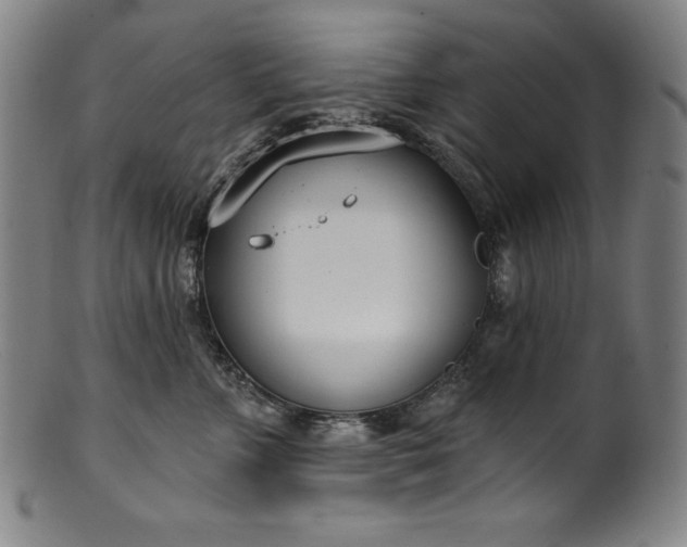 X0000099970715200806061630