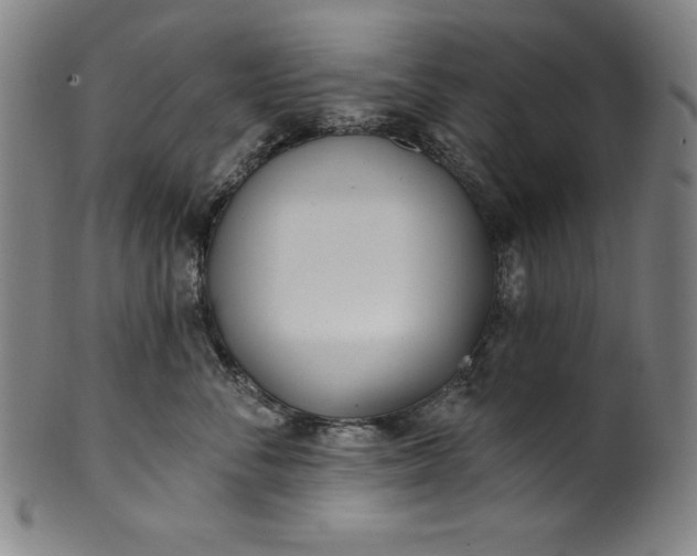 X0000099970716200806061630