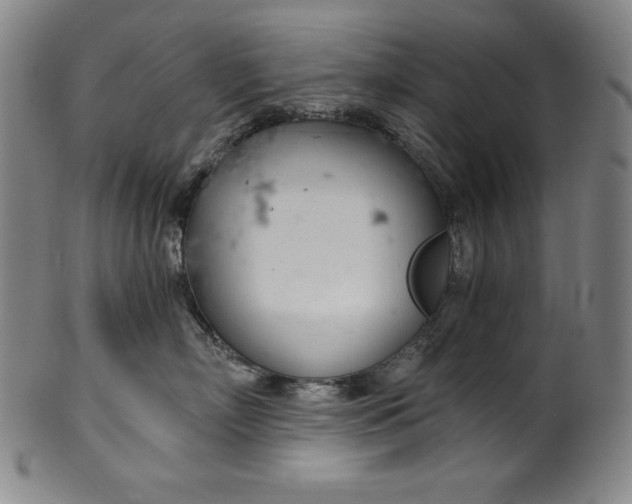 X0000099970718200806061630