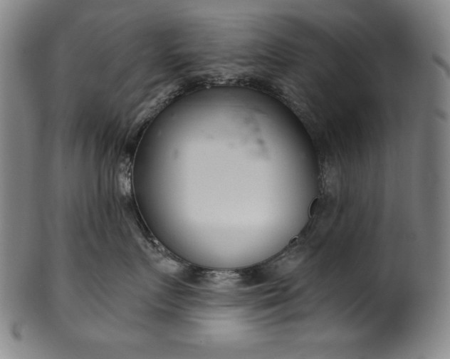 X0000099970719200806061630