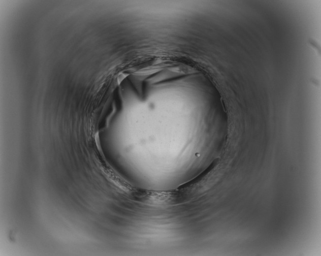 X0000099970720200806061630