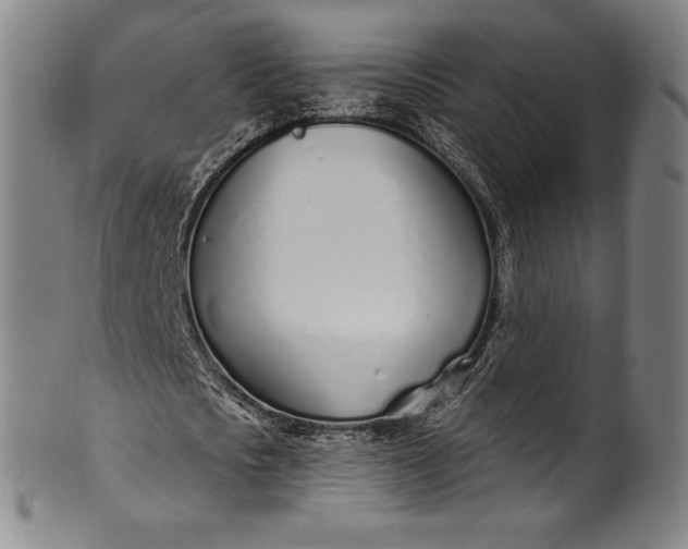 X0000099970721200806061629