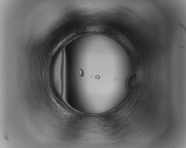 X0000099970722200806061629