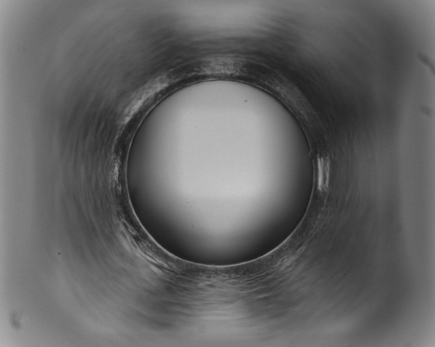 X0000099970723200806061629