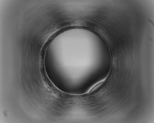 X0000099970724200806061629