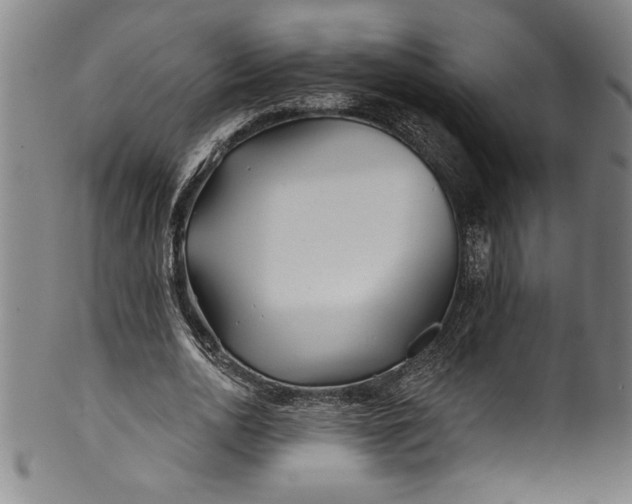 X0000099970726200806061629