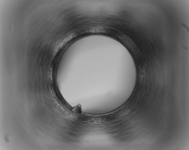 X0000099970727200806061629