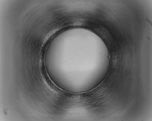 X0000099970728200806061629