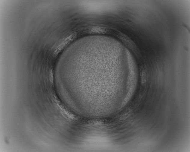 X0000099970729200806061629